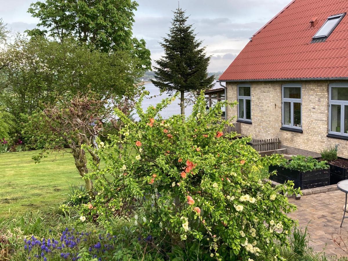 Bogebjerggard Bed & Breakfast Sønderborg Eksteriør bilde