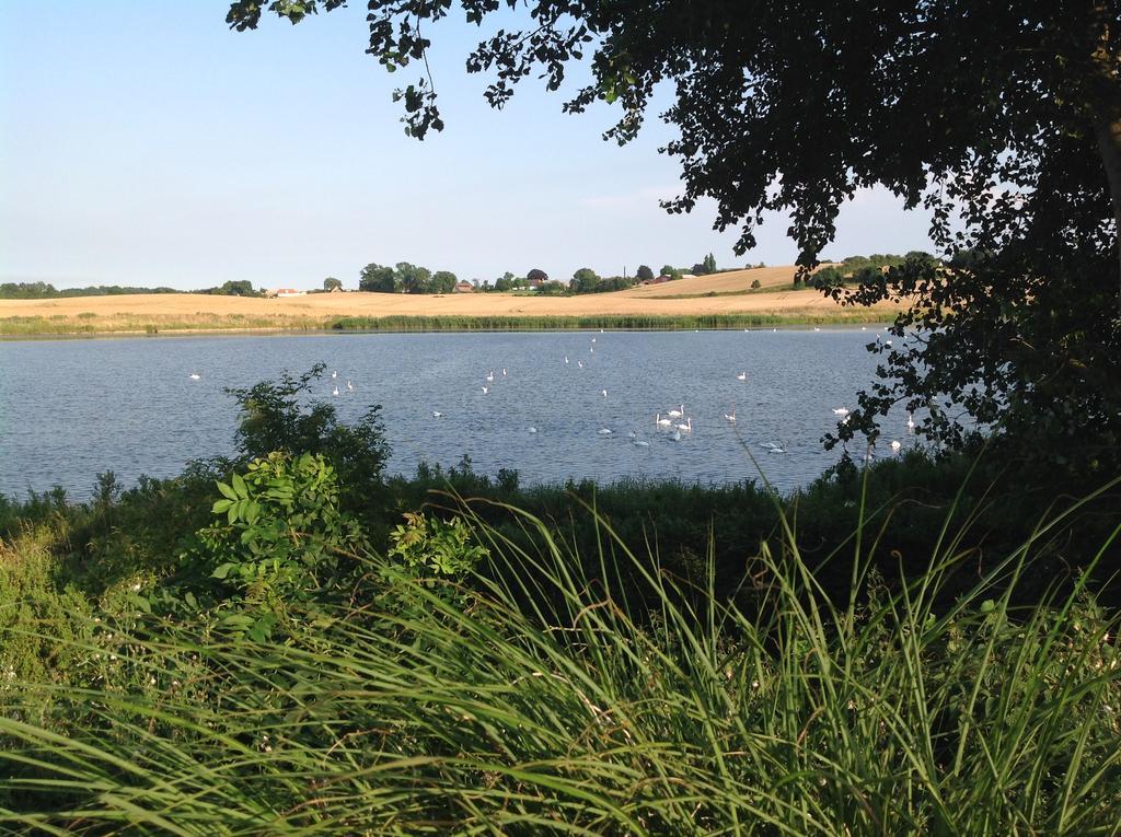 Bogebjerggard Bed & Breakfast Sønderborg Eksteriør bilde