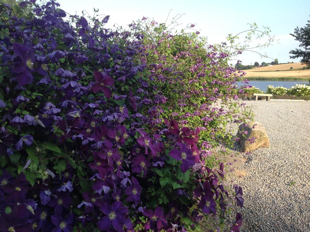 Bogebjerggard Bed & Breakfast Sønderborg Eksteriør bilde