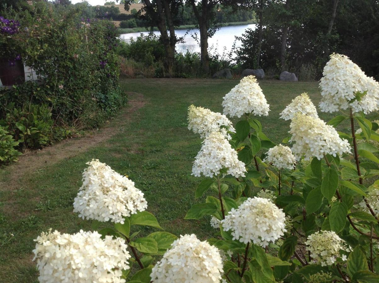 Bogebjerggard Bed & Breakfast Sønderborg Eksteriør bilde